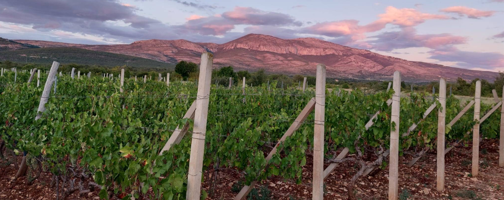 Minijatura galerije 4