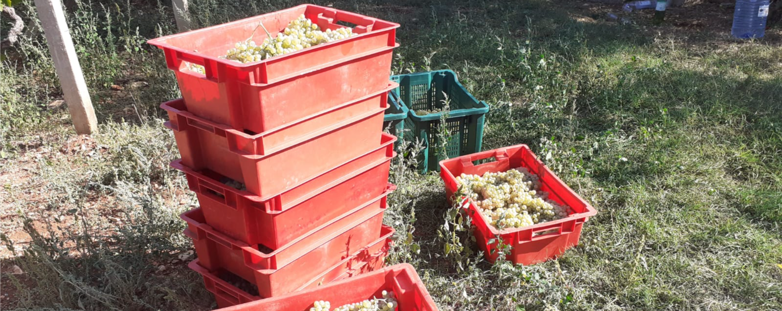 Minijatura galerije 5