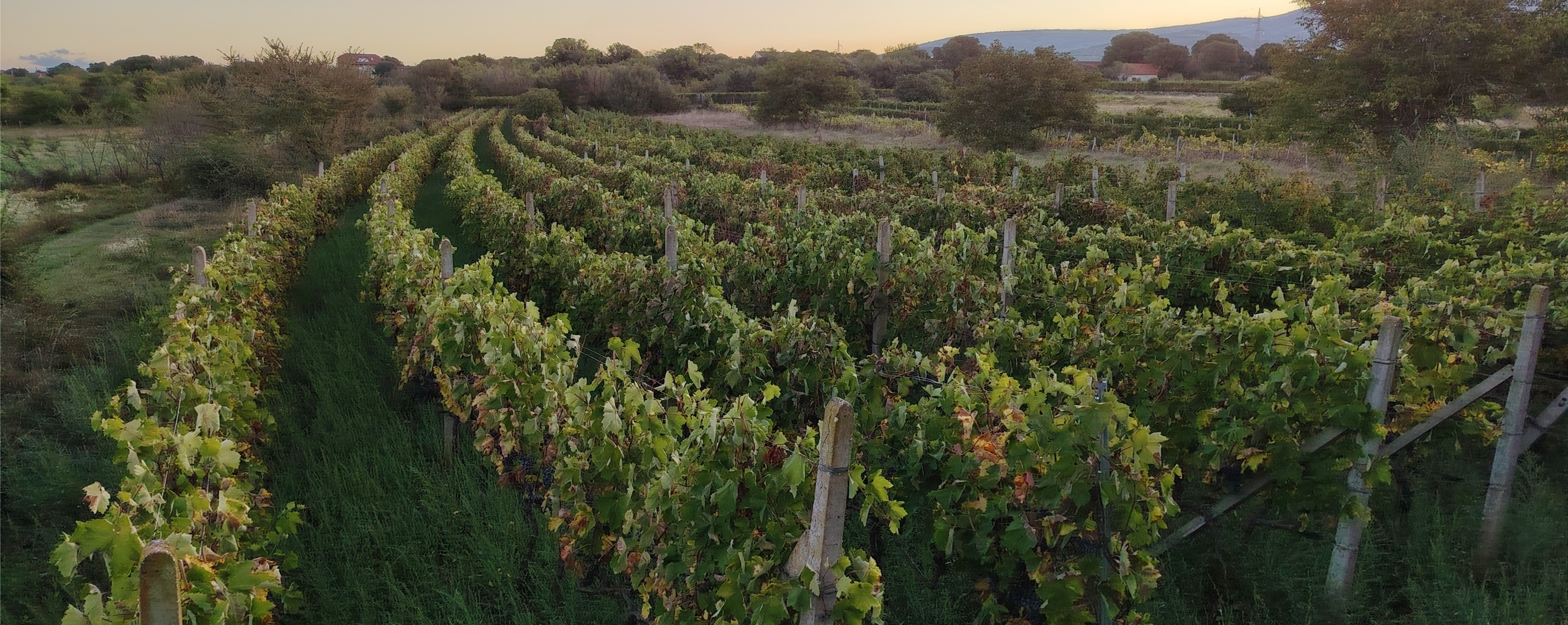 Minijatura galerije 6