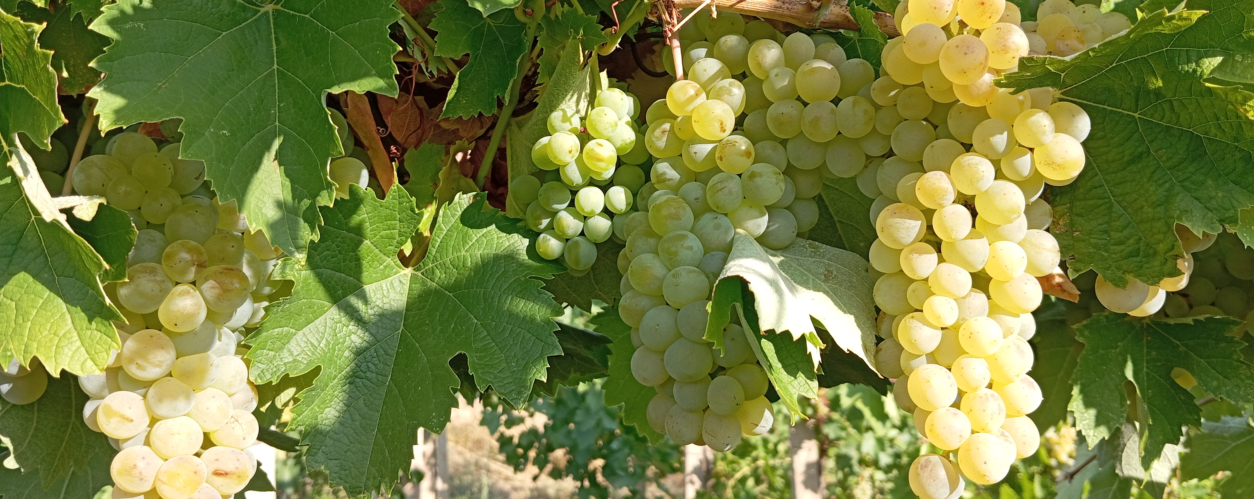 Minijatura galerije 8