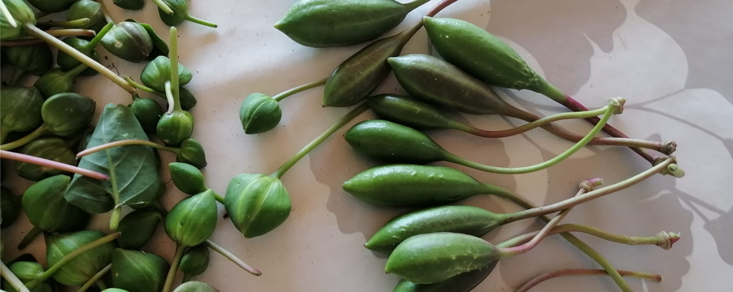 Minijatura galerije 2