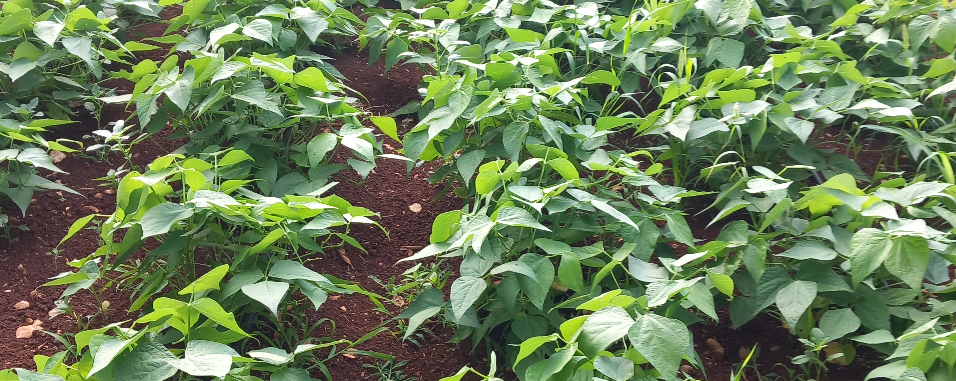 Minijatura galerije 2