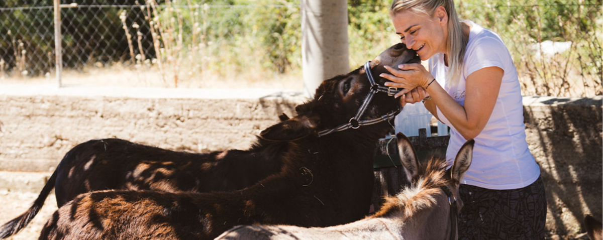 Minijatura galerije 3