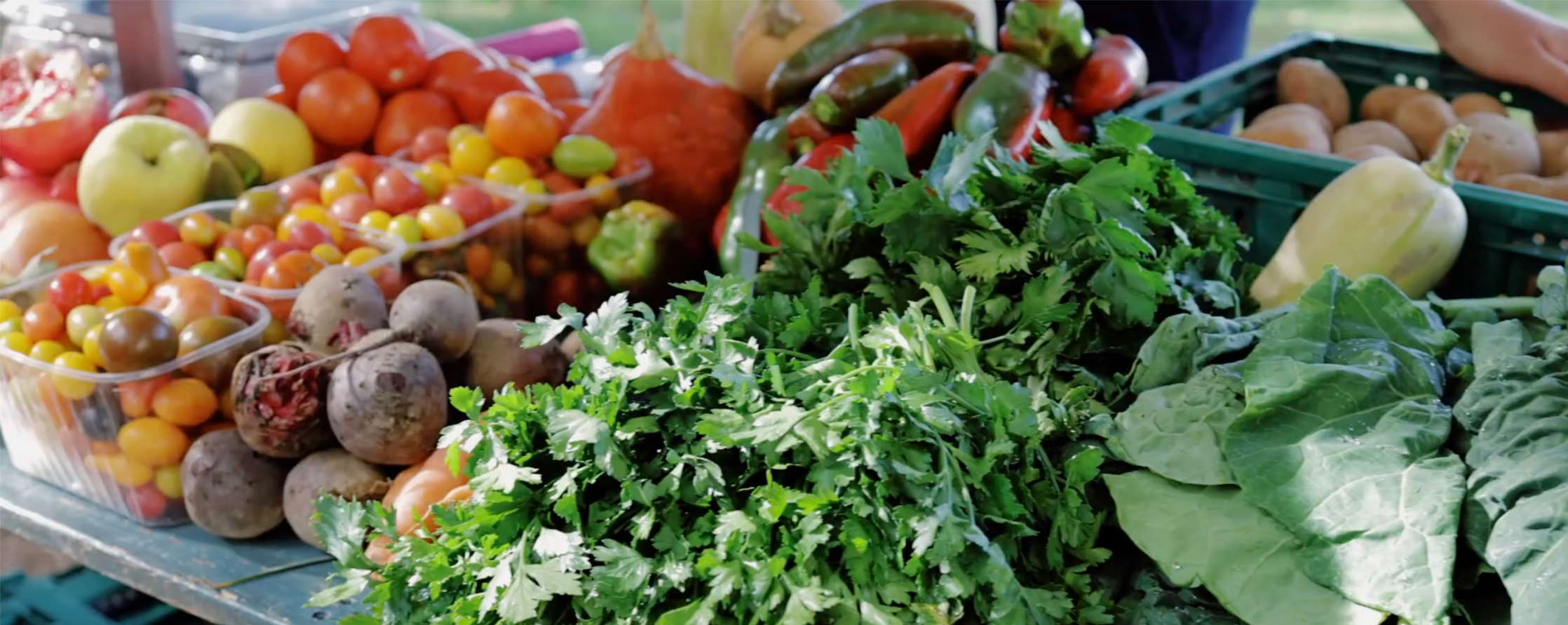 Minijatura galerije 3