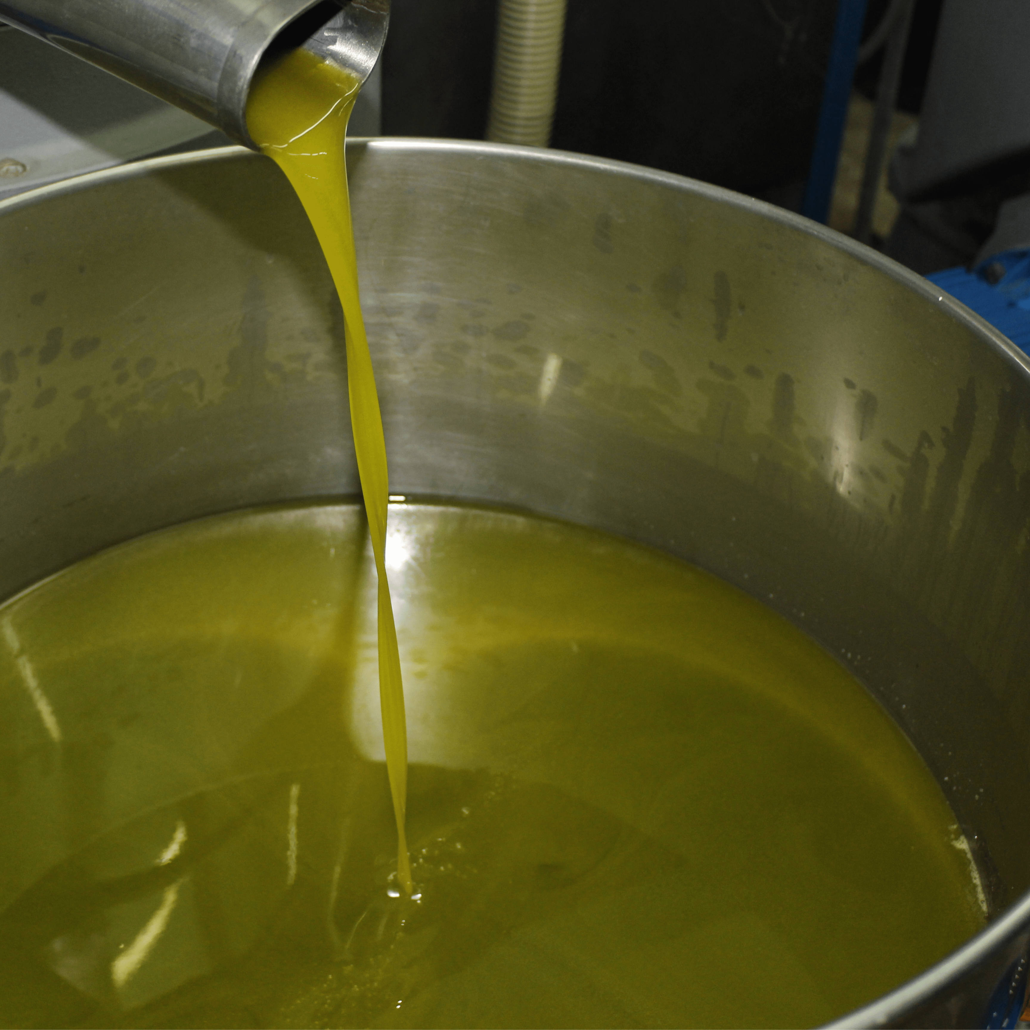 Minijatura galerije 5