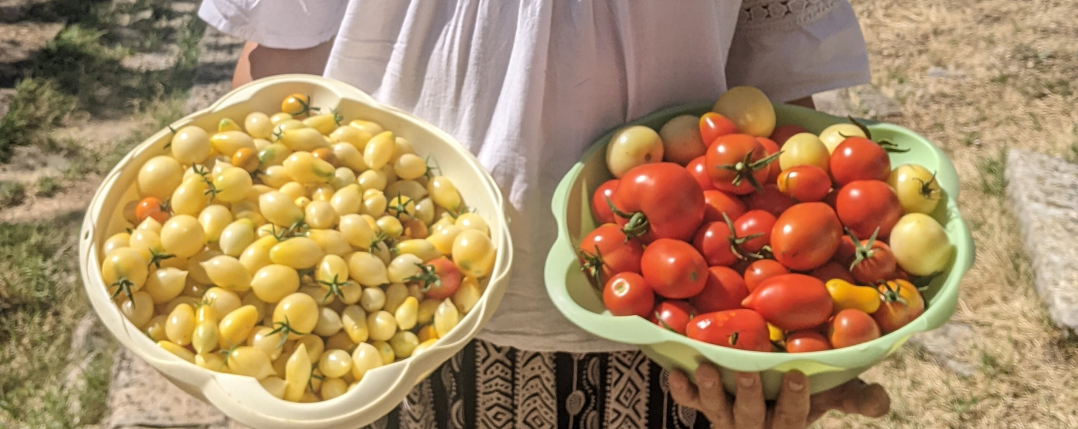 Minijatura galerije 2