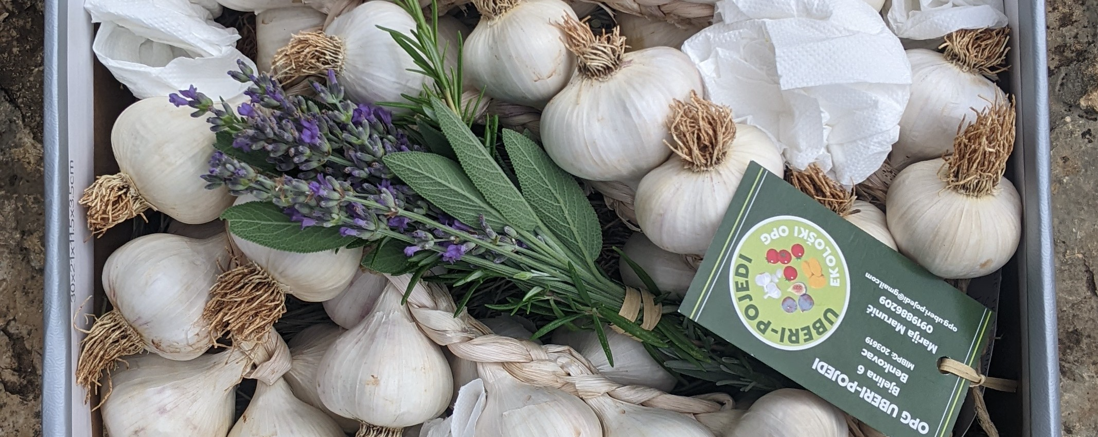 Minijatura galerije 4