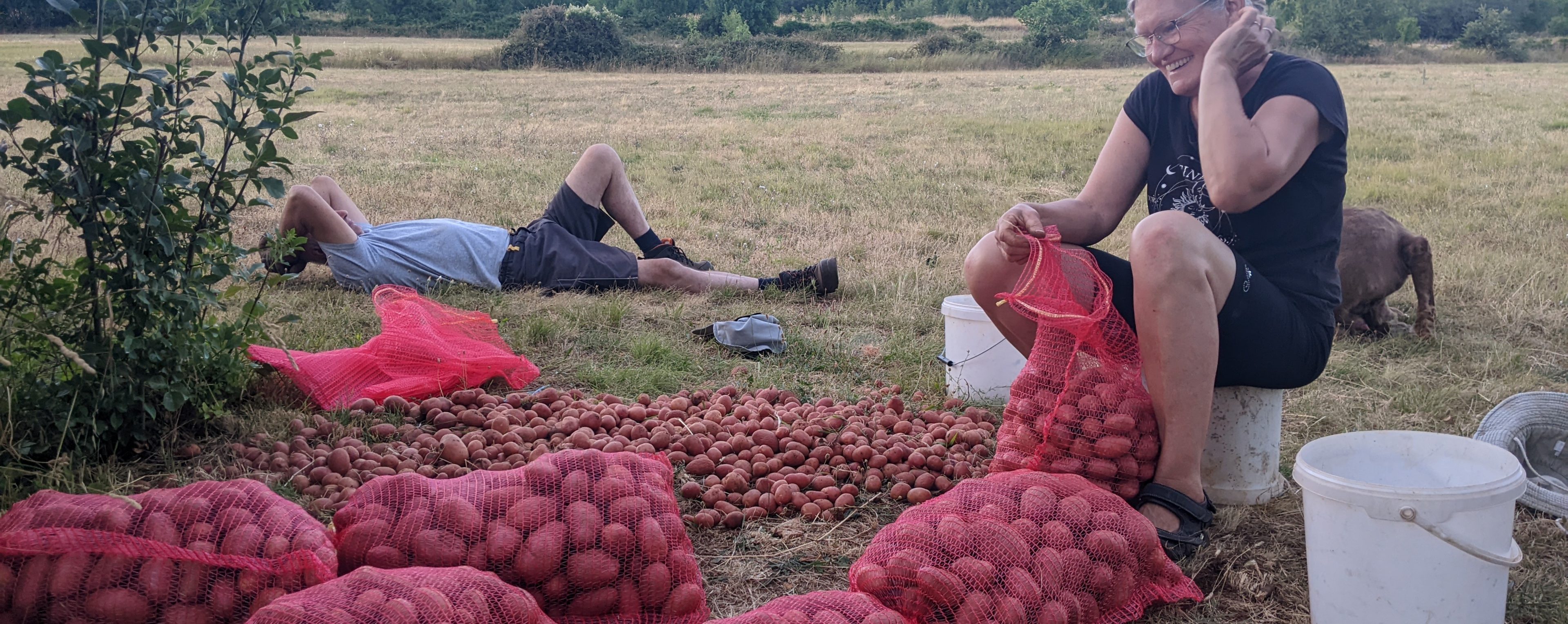 Minijatura galerije 6