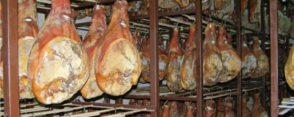 Minijatura galerije 5