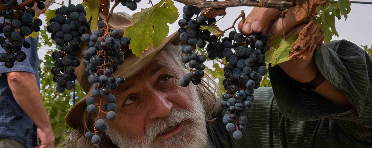 Minijatura galerije 4