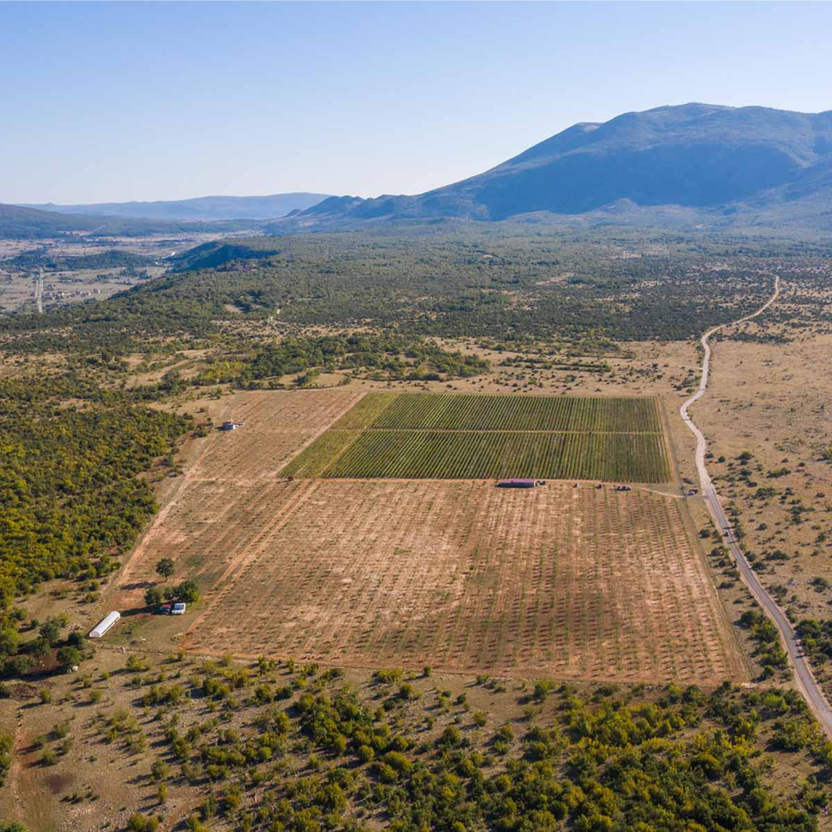 Minijatura galerije 2