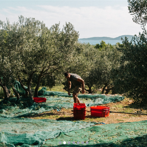 OPG Šime Stipaničev