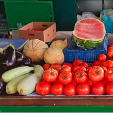 OPG Goran Stojanović