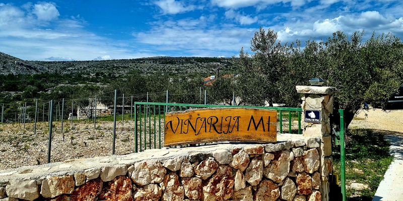 Slika galerije 1