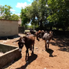 Gallery thumbnail undefined