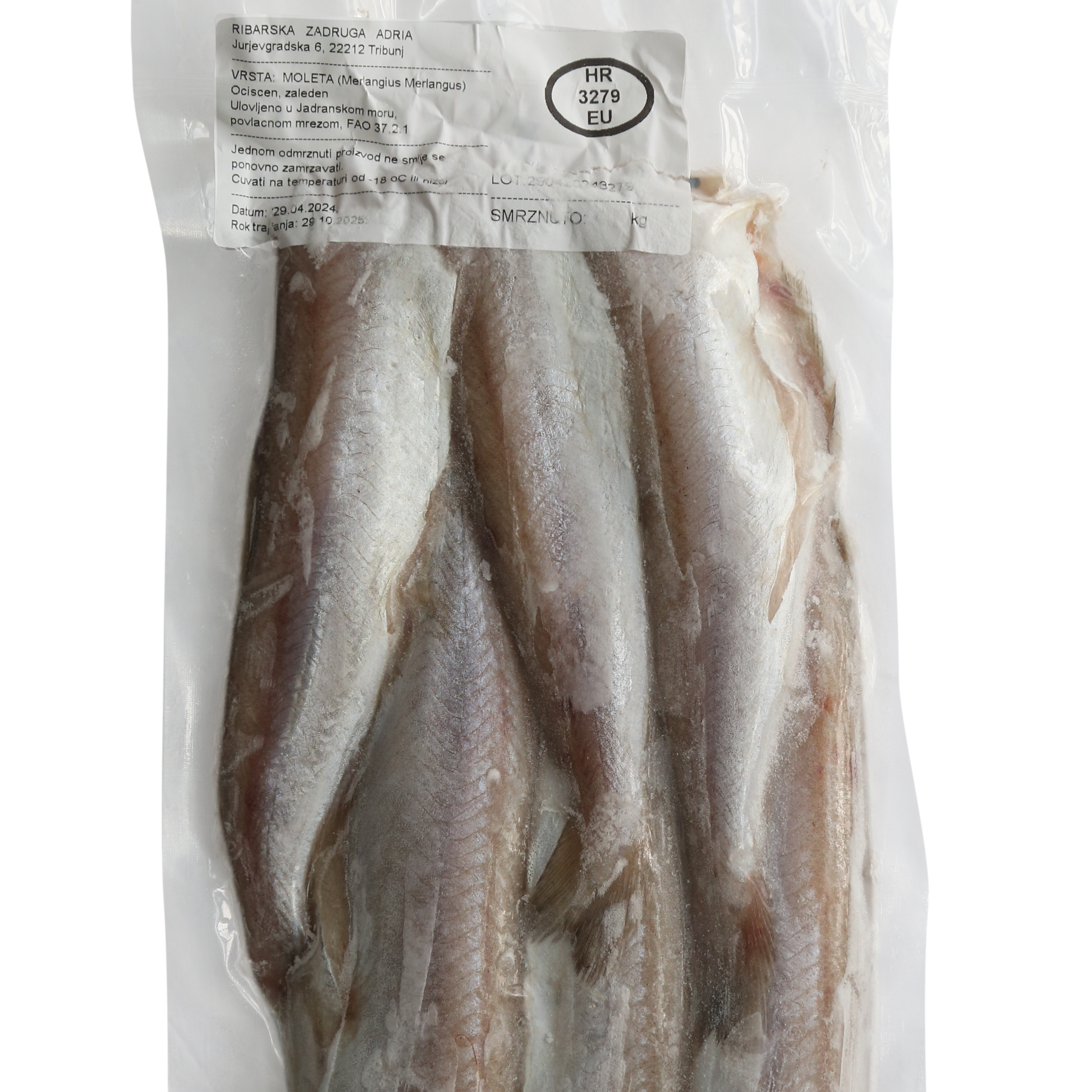 MOLETA bez glave thumbnail 2