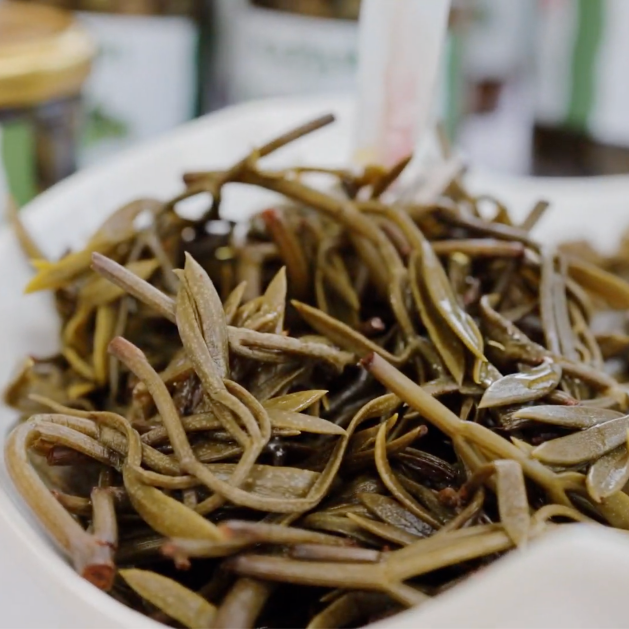 u kvasini thumbnail 2