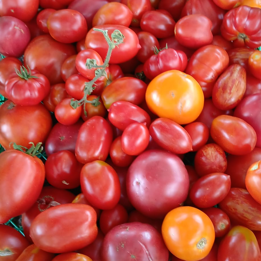 Cherry thumbnail 2