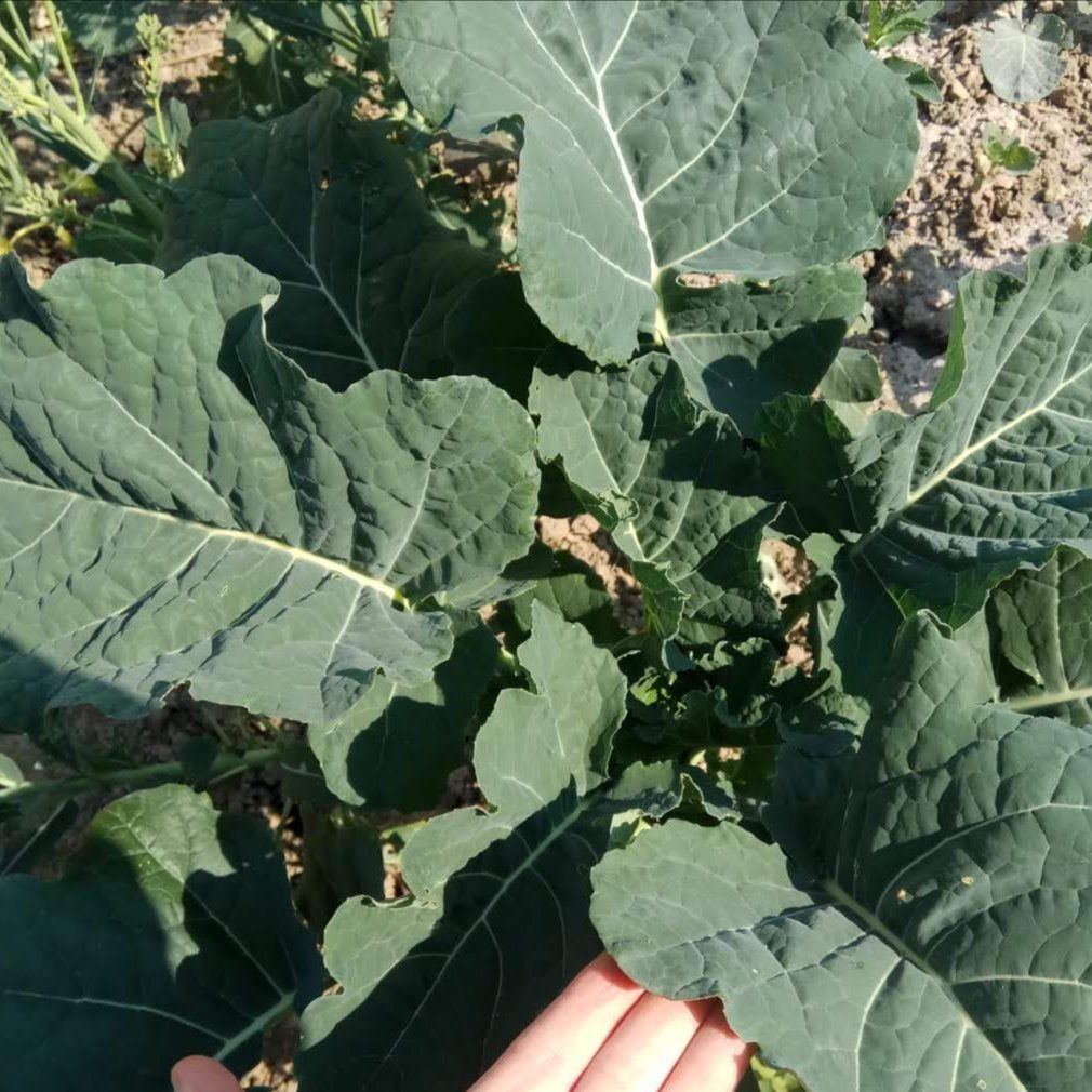 Bio - Image 1