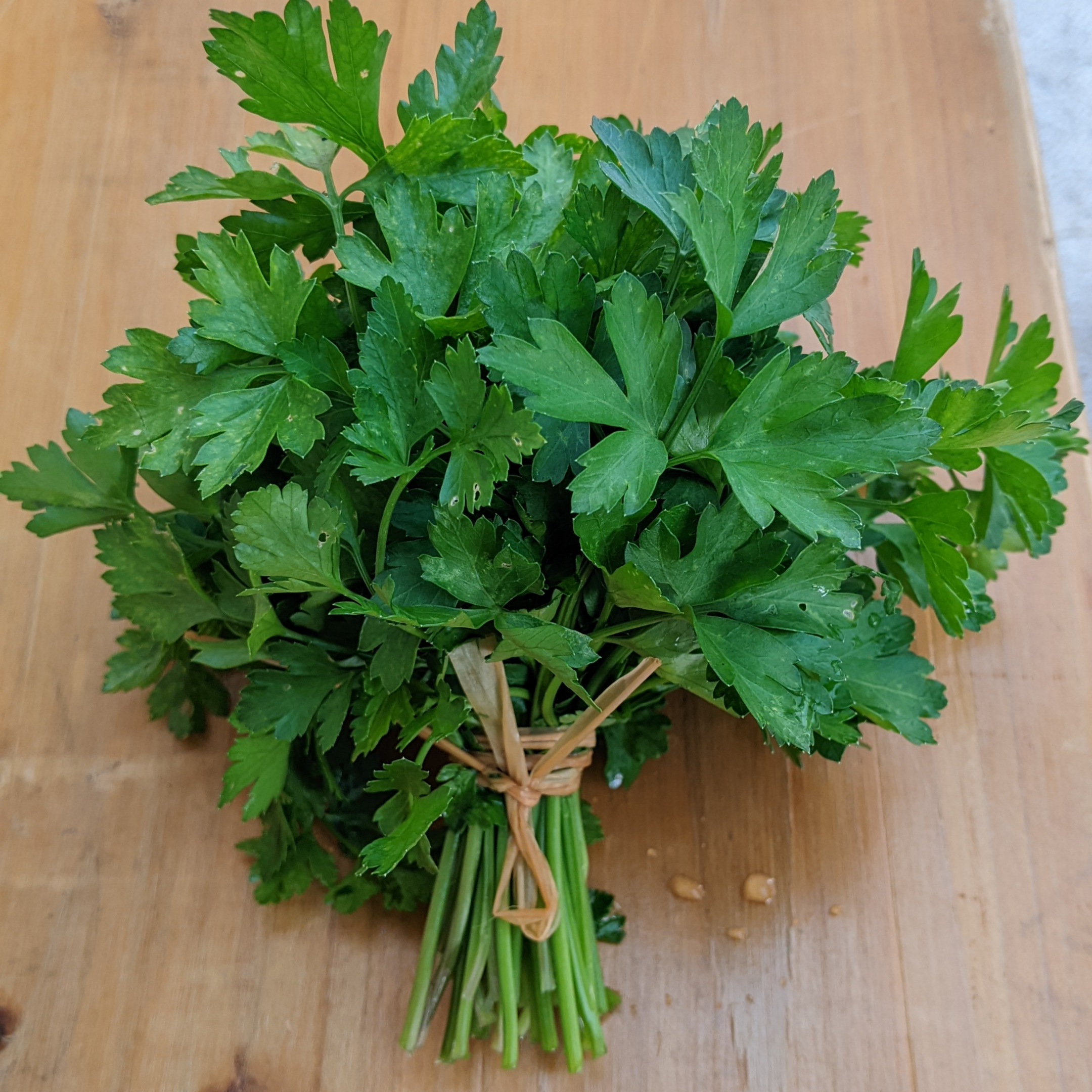 Bio - Vezica  - Image 1