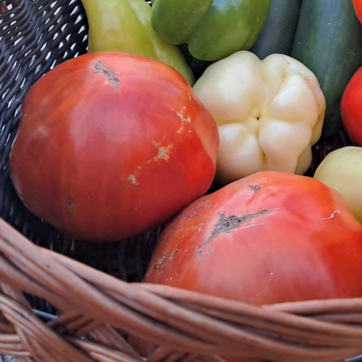 Jabučar Variety - Image 1